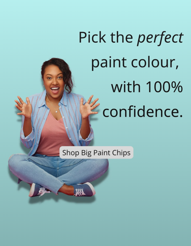 paint chips